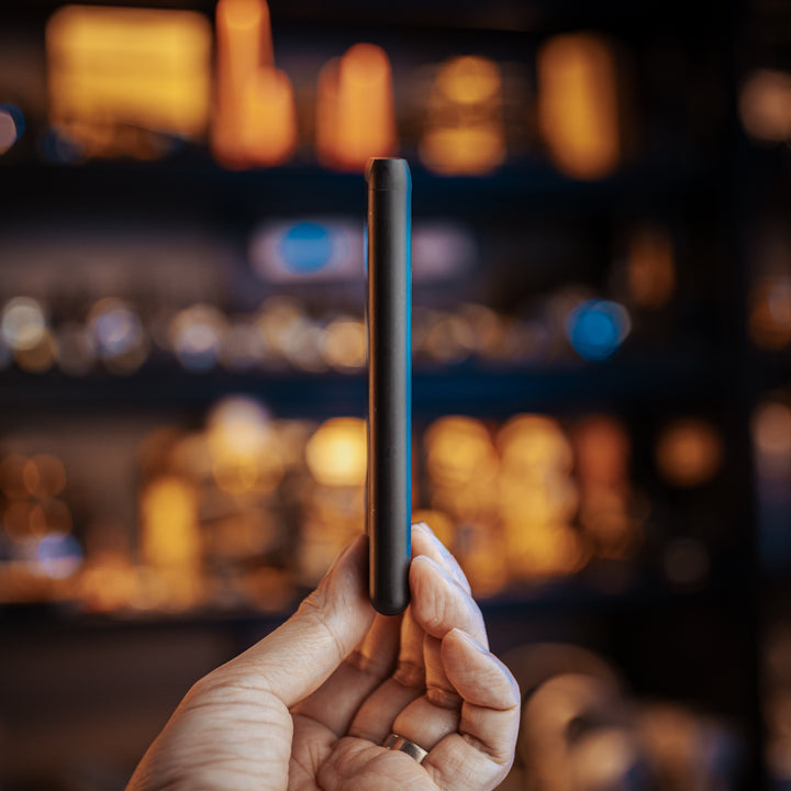 NB Plus (10,000mAh 3A 22W)