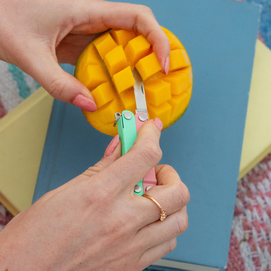 Leatherman Micra - Bayside knife cubing a mango at a picnic - Nitecore Singapore