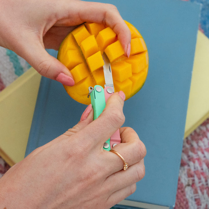 Leatherman Micra - Bayside knife cubing a mango at a picnic - Nitecore Singapore