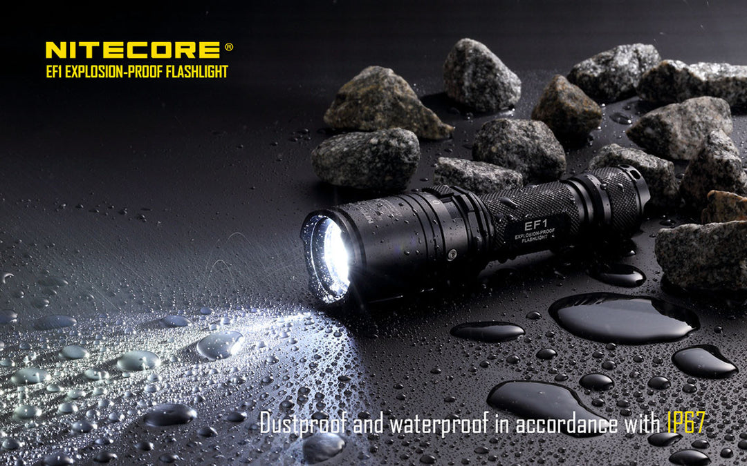 EF1 - 830 lumens